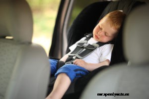 Children left in cars: Warnings and Preventions