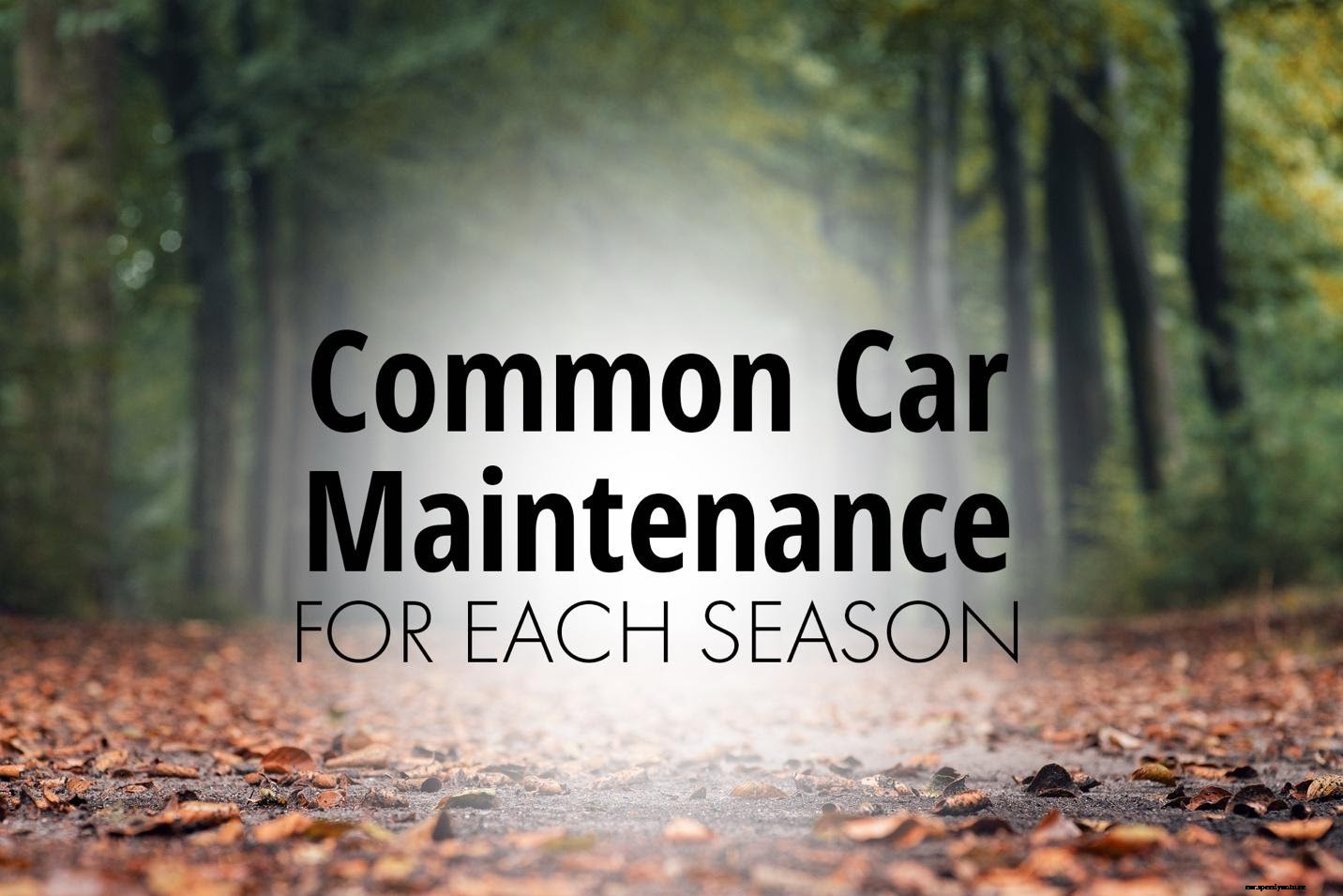 Common Car Maintenance For Each Season