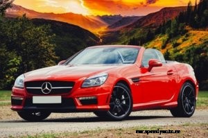 Do You Need a European Auto Repair Shop?