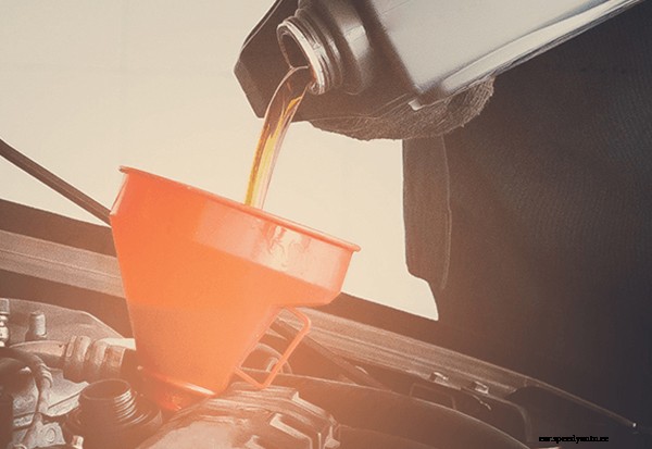 Your Complete Guide to Oil Changes