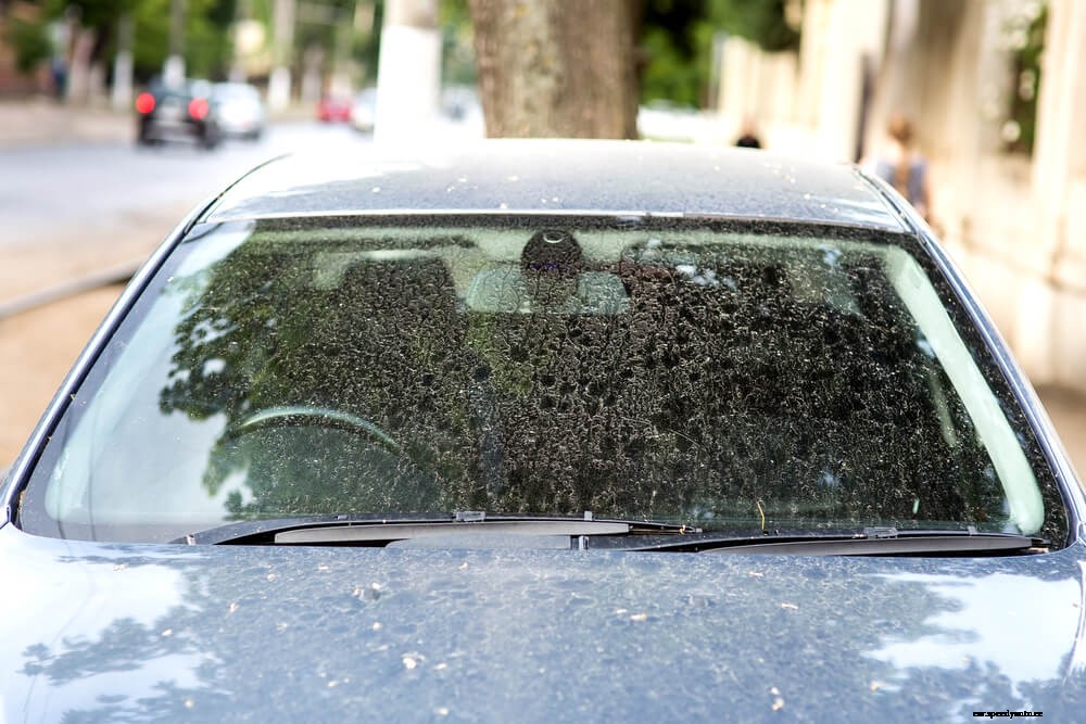 How To Remove Water Spots From Your Car