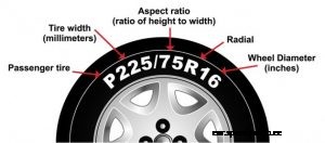 Everything you have ever wanted to know about tires