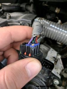 Help! Rodents are Eating My Car!