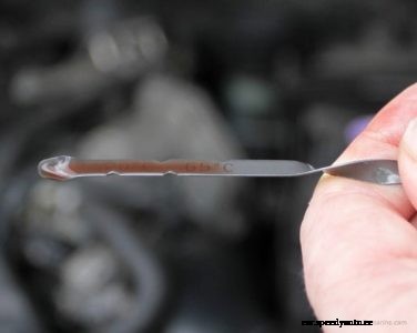 Routine Maintenance Schedule – What you Should Check Every Week