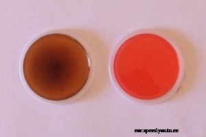 Should I get a Power Steering Flush?