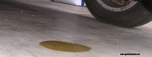 Best Oil Stop Leak