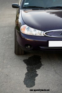 Dangers of a Rear Main Seal Leak?