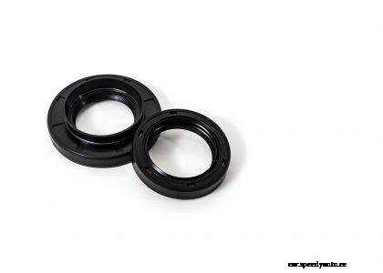 Rear Main Seal Replacement Cost