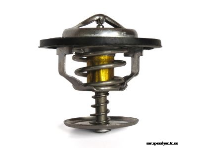 Thermostat Replacement