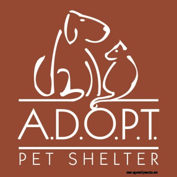 Help ADOPT Pet Shelter raise funds to replace their Air Condition