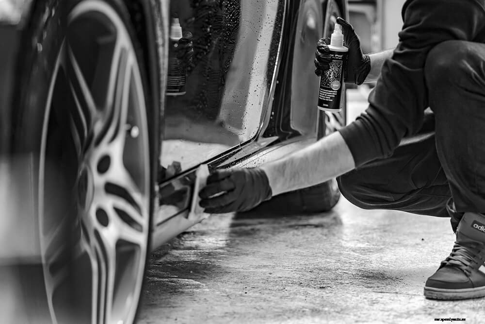 Damages that Rodents and Other Pests Can Do to Cars