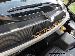 How to Change Your Air Cabin Filter in 4 Simple Steps
