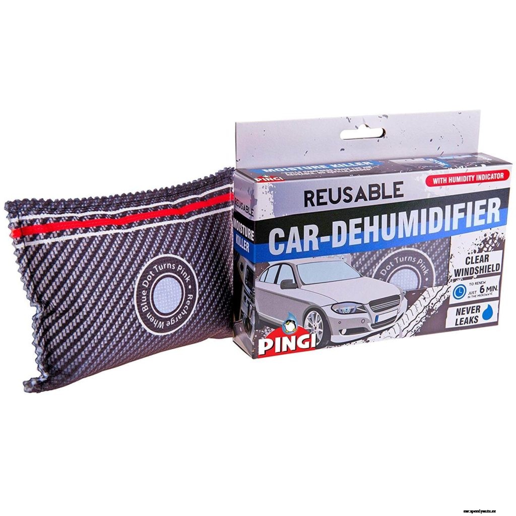 How To Get Mold Out Of Car Interior and Carpet