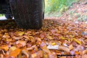 Preparing Your Car for Fall Rain and Leaves