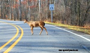 Everything You Need To Know About Illinois Driving Hazards