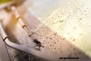 Rear Windows Replacement