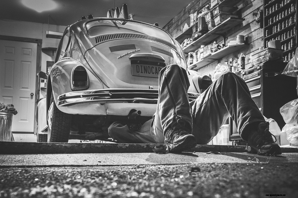 What Type Of Car Enthusiast Are You?