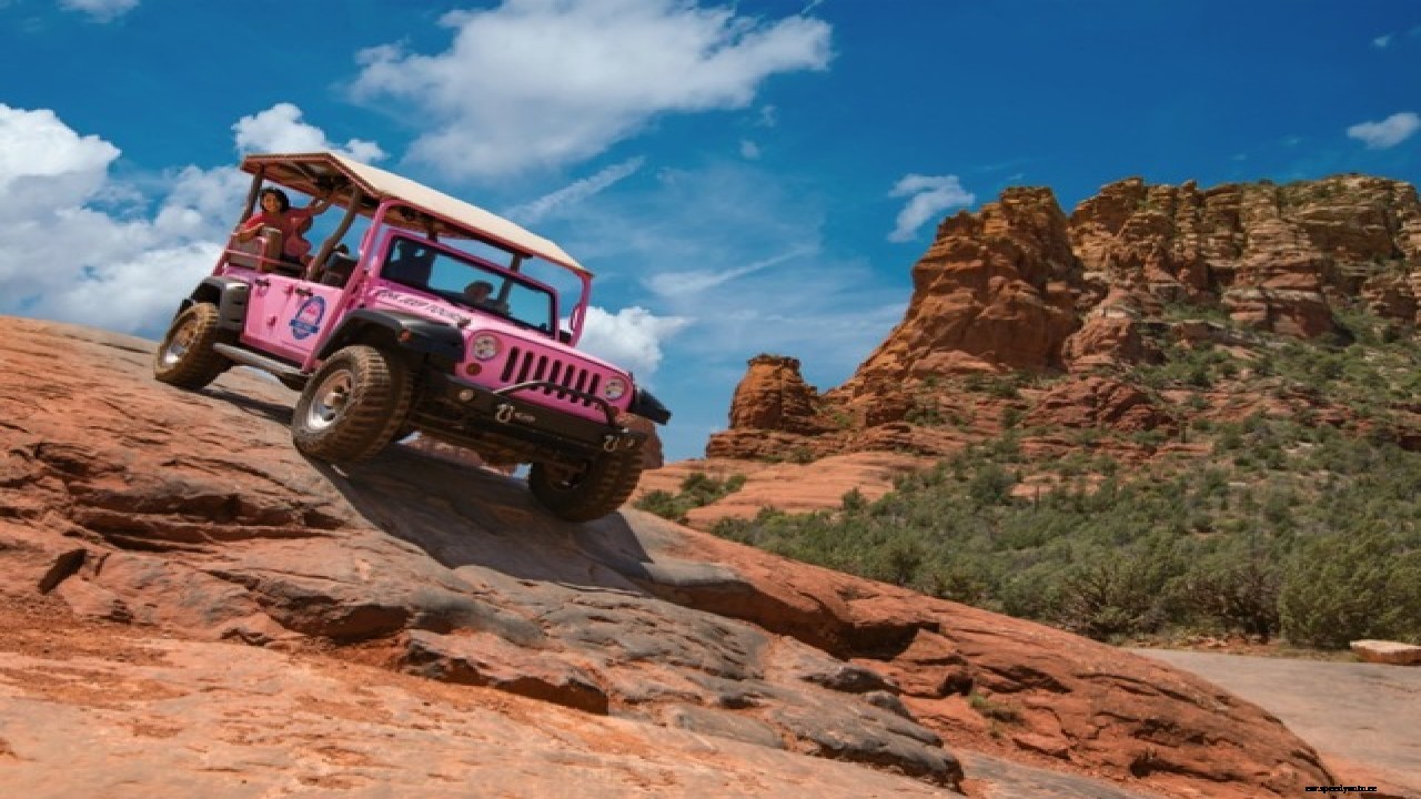 What Type Of Car Enthusiast Are You?