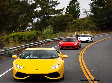 What Type Of Car Enthusiast Are You?