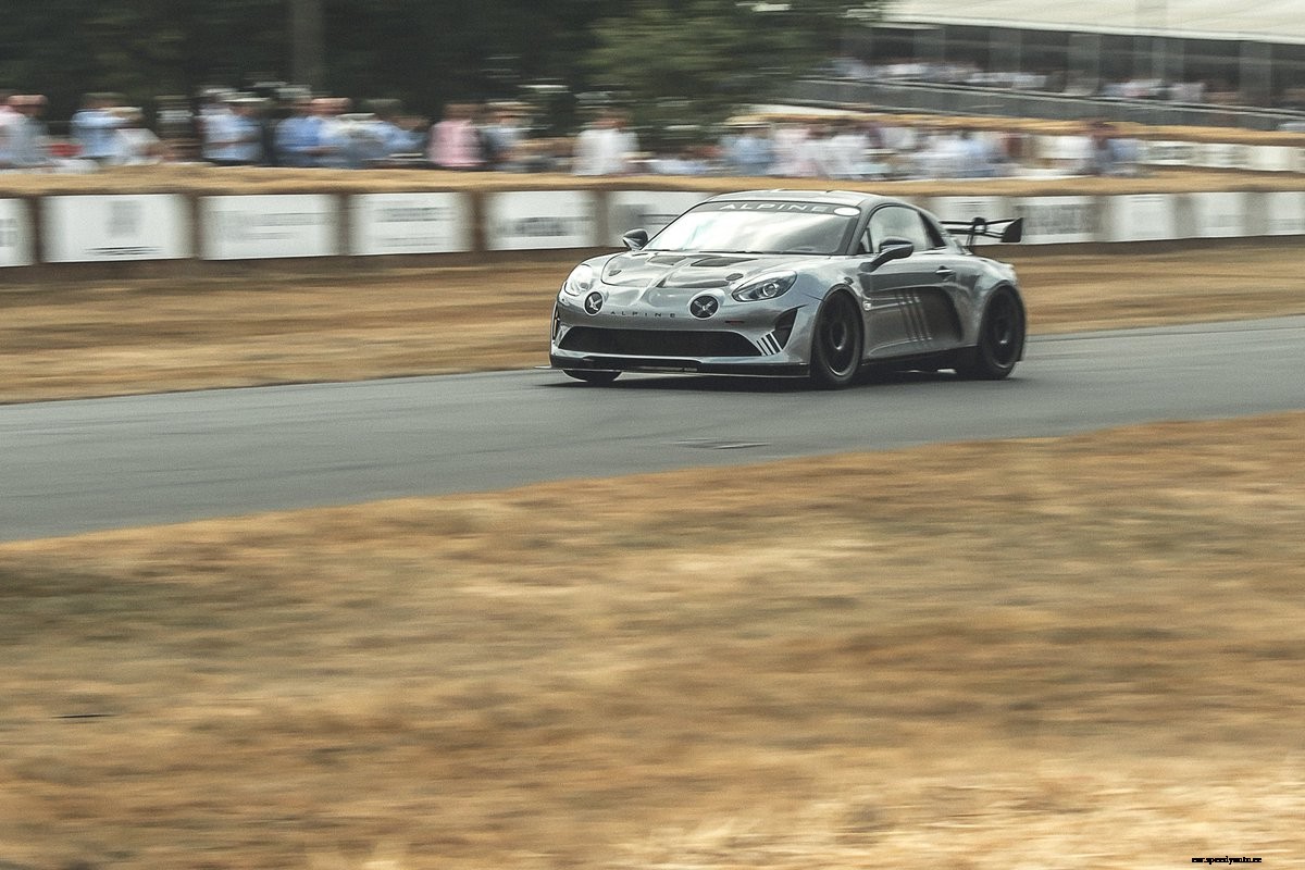 What Type Of Car Enthusiast Are You?