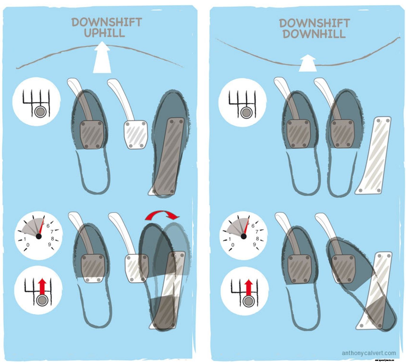 What Type Of Car Enthusiast Are You?