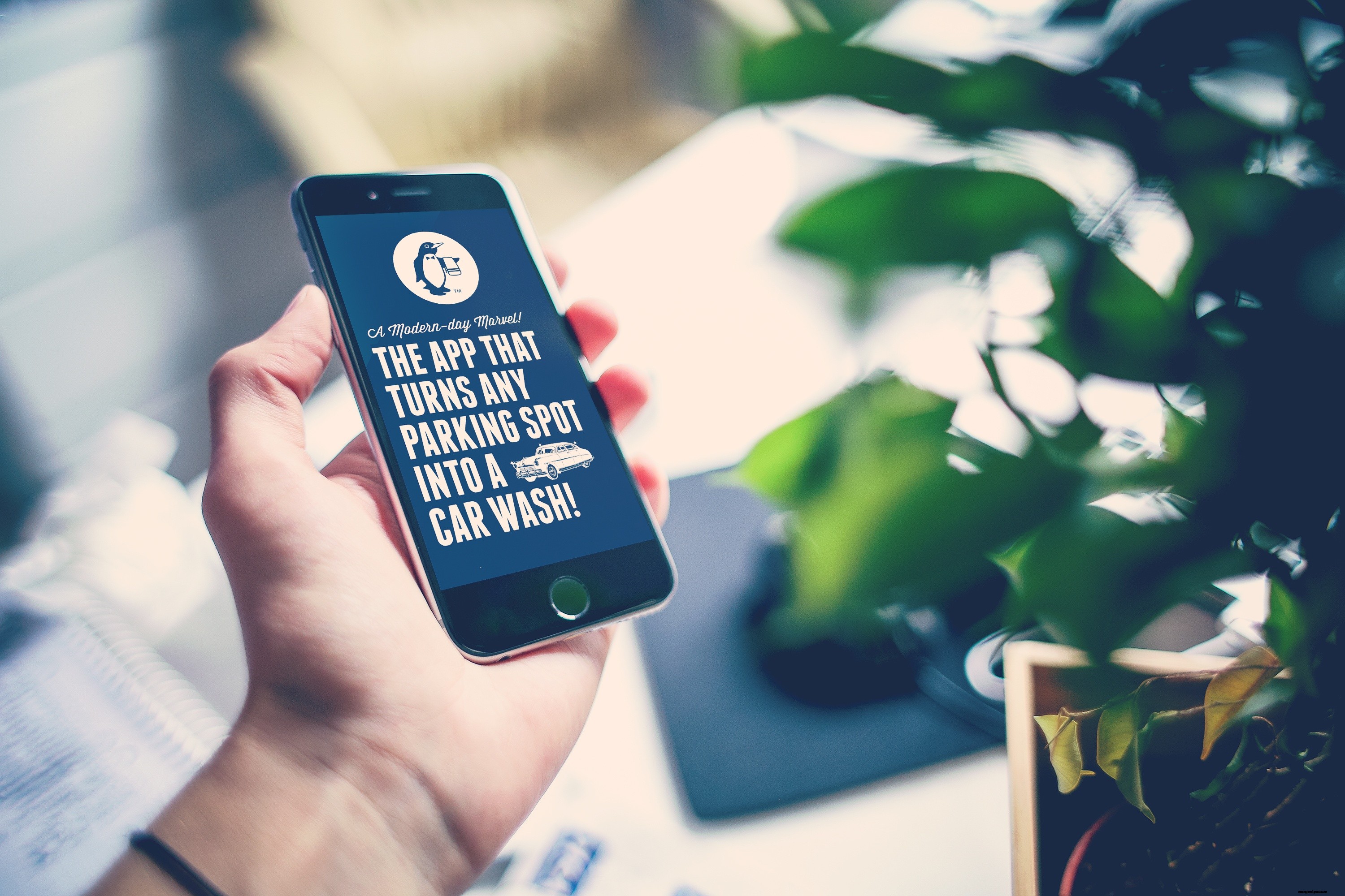 6 Things to Look for in a Mobile Car Wash