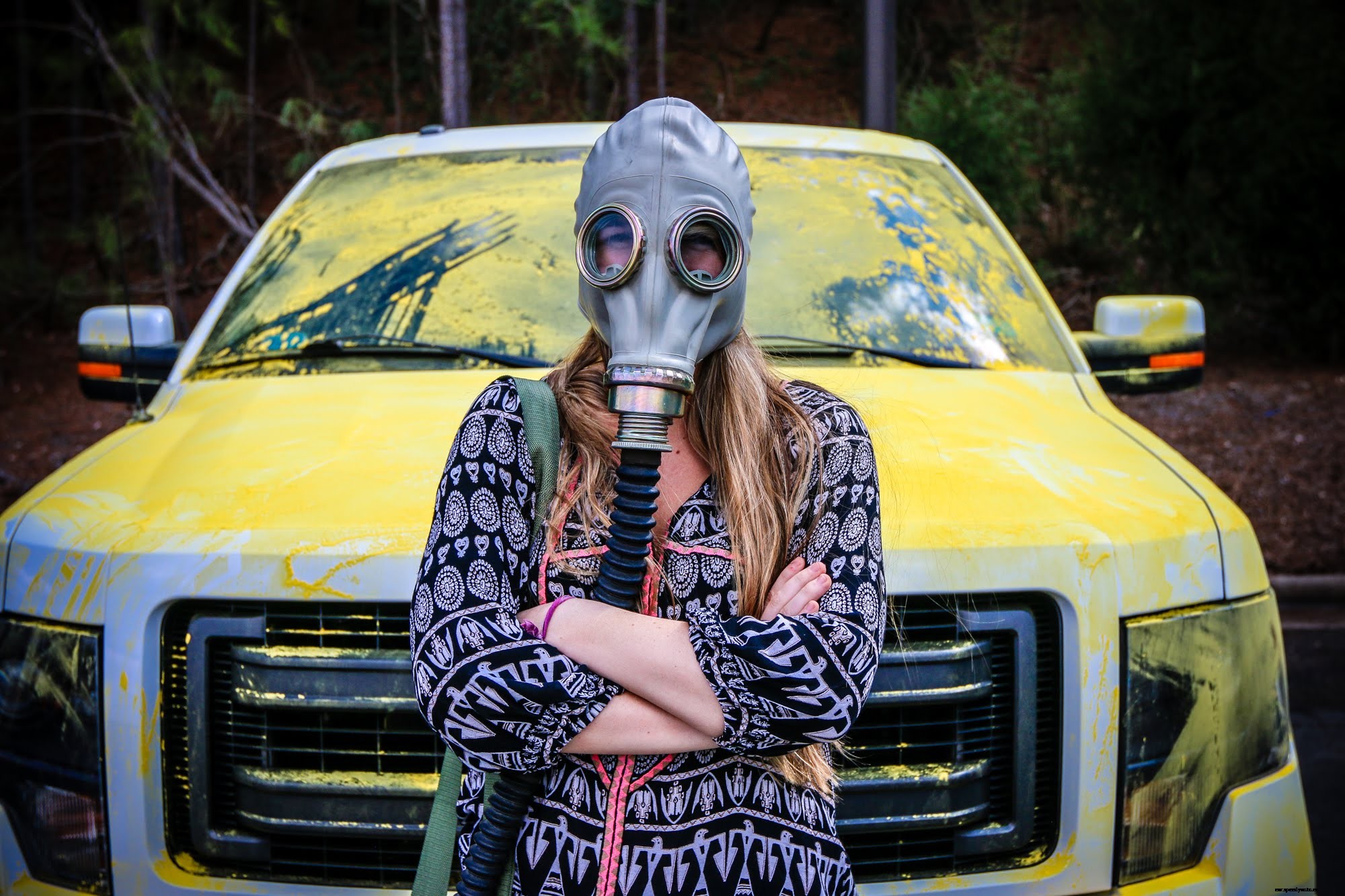 What Does Pollen Do to Your Car?