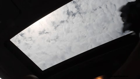 What are the Benefits of Car Detailing?