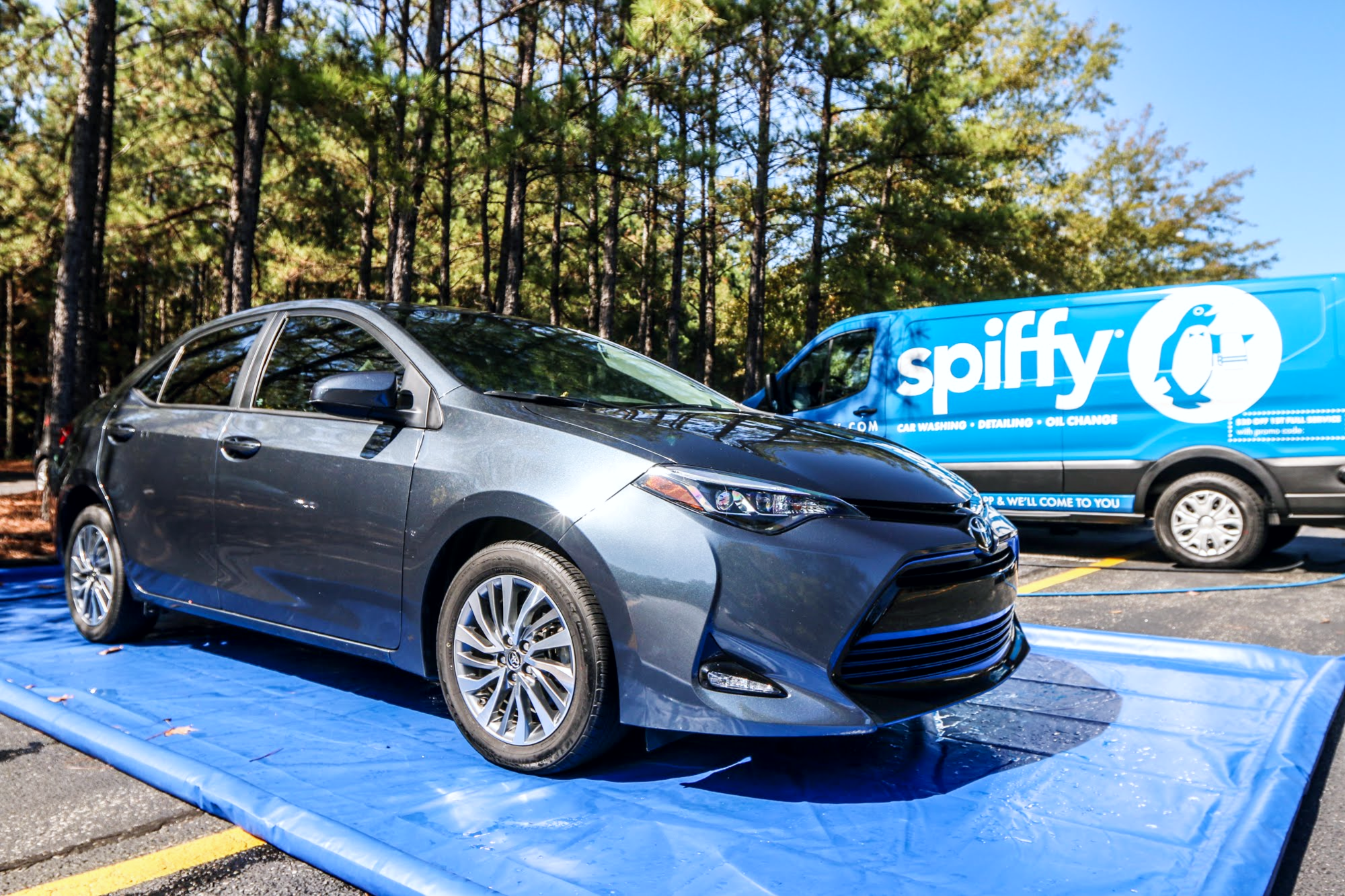 BOO! Its Artillery Fungus!