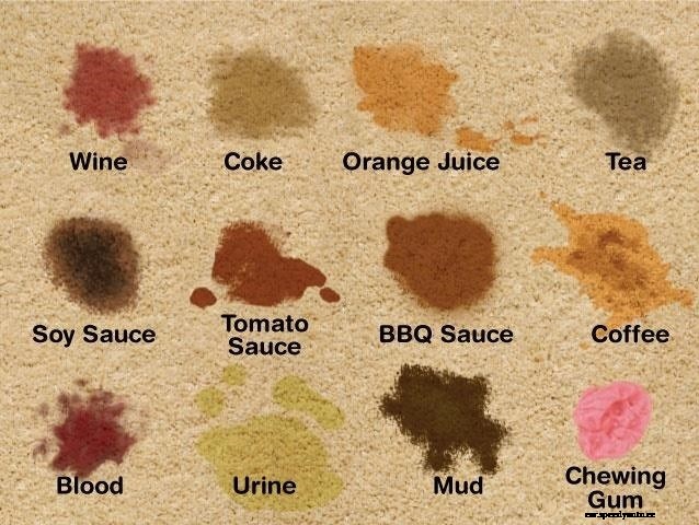 How to Remove Stains from Your Vehicles Interior