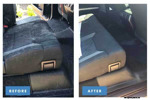 How to Remove Pet Hair from Your Car