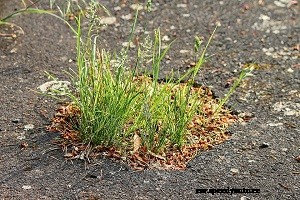 How Potholes Can Damage Your Car