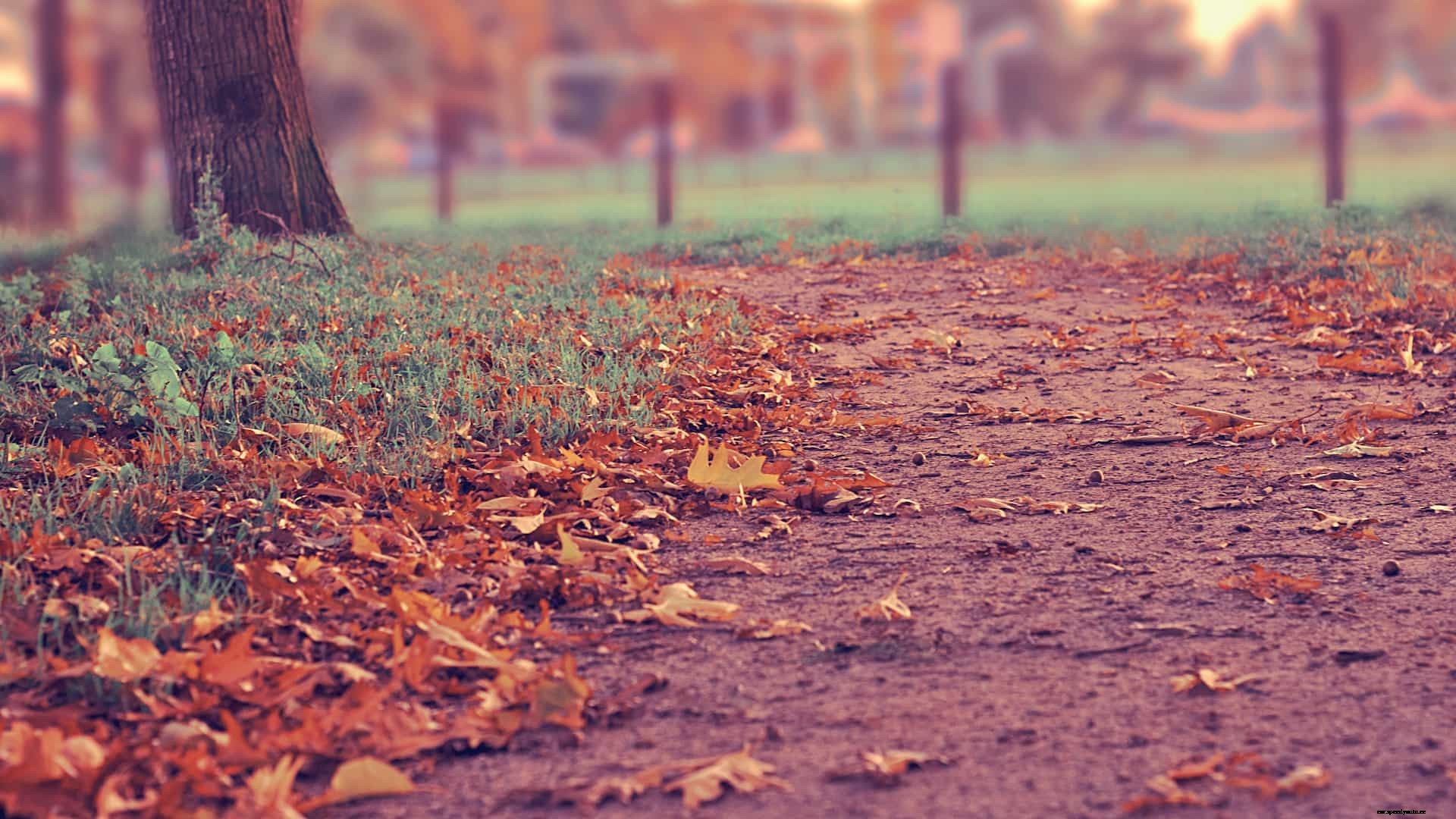 Fall Care Care Checklist