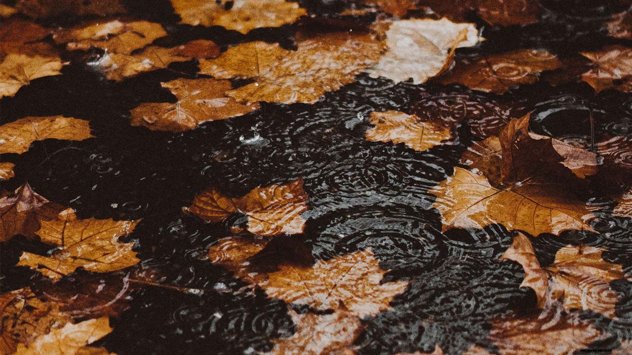 Fall Vehicle Maintenance Tips