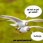 Are You Using the Right Kind of Gas in Your Car?