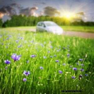 Getting Your Car Ready For Spring