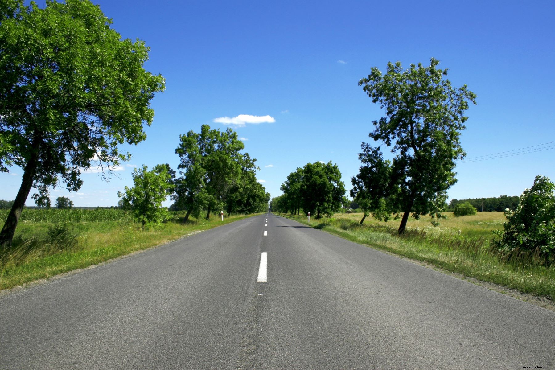 6 Summer Car Care Tips