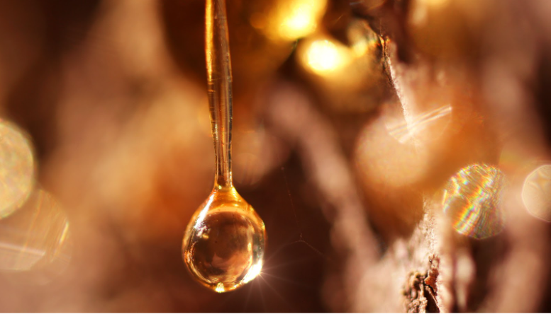 How to Remove Tree Sap From Your Car