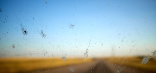 How To Remove Bug Residue From Your Vehicle and Windows