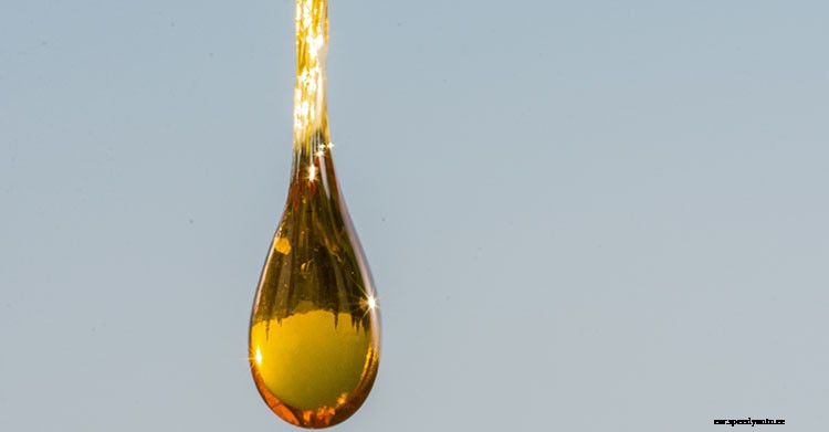 What Color Should Your Engine Oil Be?