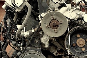 What do the Belts in my Car do?