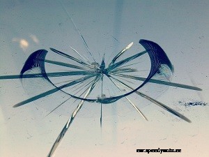 What to Do About a Cracked Windshield