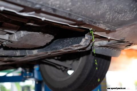 The Elixirs of Life Belong In Your Car