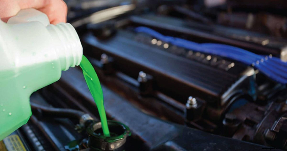 8 Essential Summer Tips To Help Your Car Beat The Heat