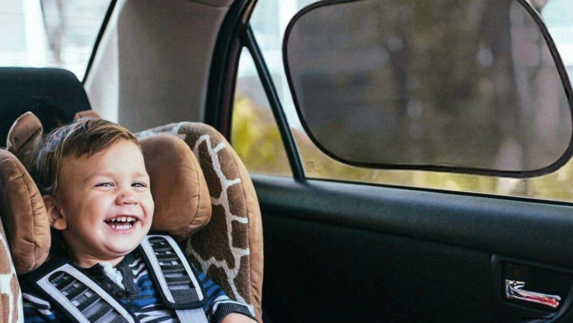 Top 5 Car Accessories For Parents
