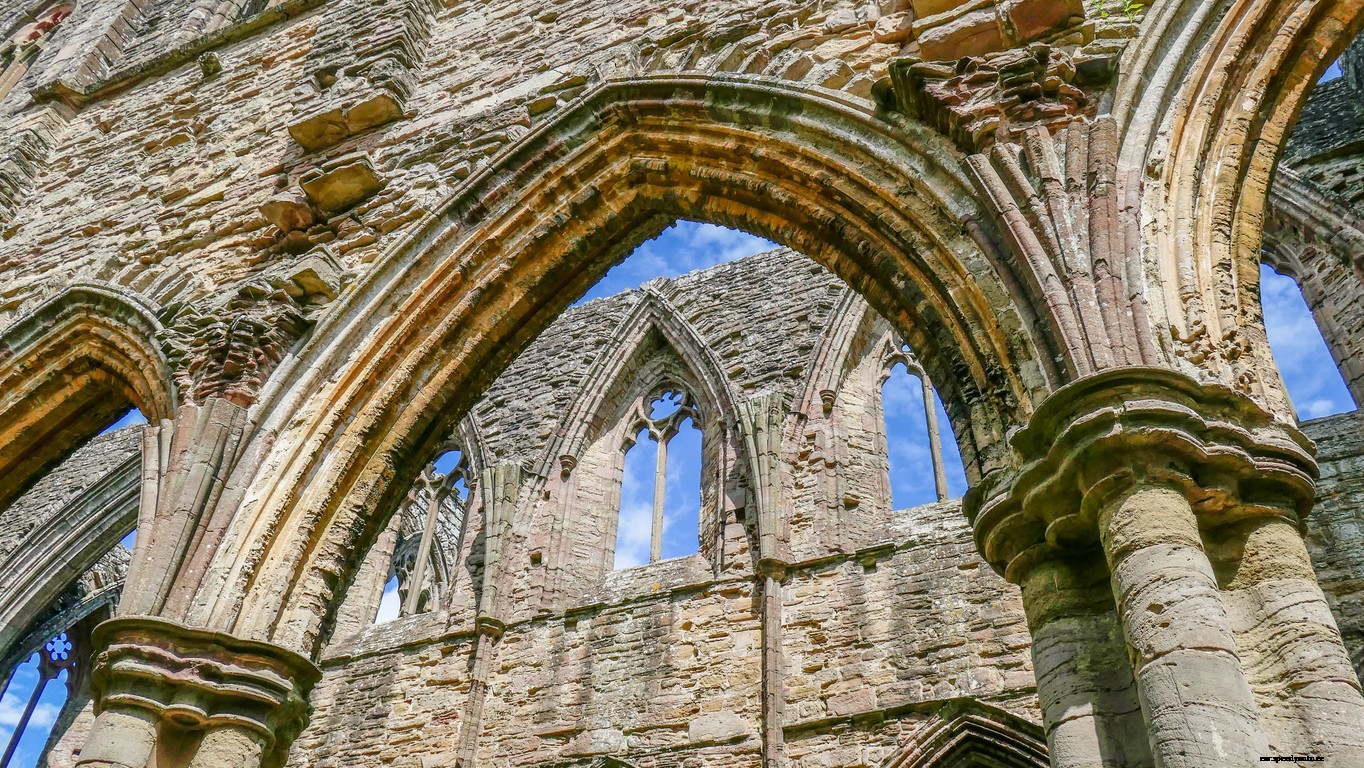 The Top Day-Out Travel Destinations to Visit with Your Dogs