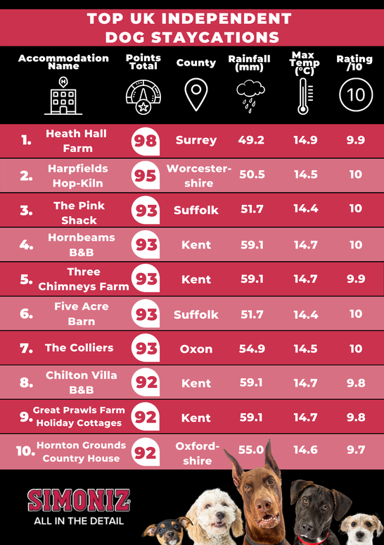 The Best Staycation Hotels for Pets