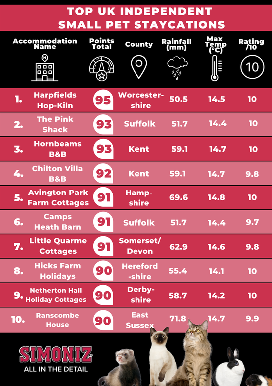 The Best Staycation Hotels for Pets