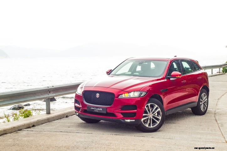 The Best Cars for Dog Owners