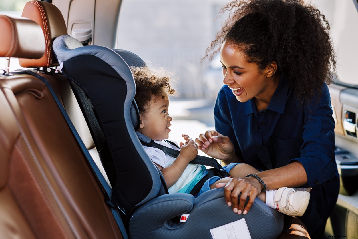 The Best Car Accessories for Families